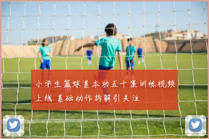 小学生篮球基本功五十集训练视频上线 基础动作拆解引关注