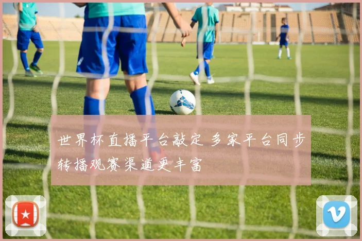 世界杯直播平台敲定 多家平台同步转播观赛渠道更丰富