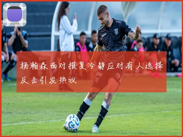 杨瀚森面对报复冷静应对有人选择反击引发热议