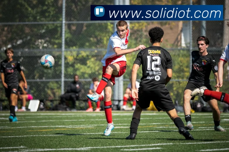 九游官网官方入口平台生态图