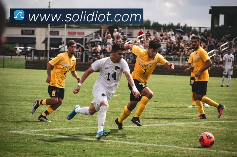 数据防护可视化